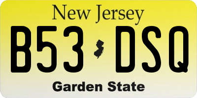 NJ license plate B53DSQ