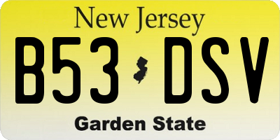 NJ license plate B53DSV