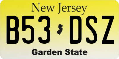 NJ license plate B53DSZ