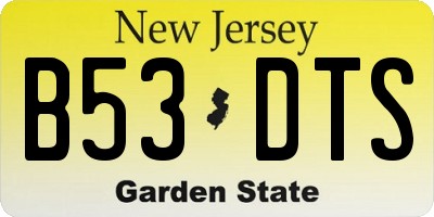 NJ license plate B53DTS