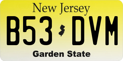 NJ license plate B53DVM