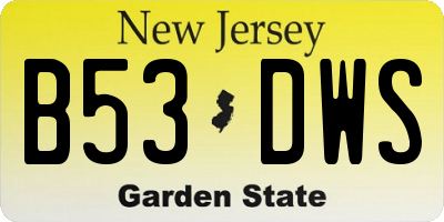 NJ license plate B53DWS