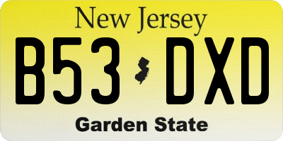 NJ license plate B53DXD