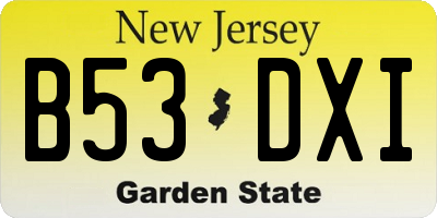 NJ license plate B53DXI