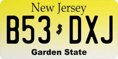 NJ license plate B53DXJ
