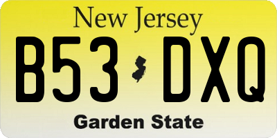 NJ license plate B53DXQ