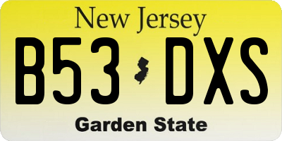 NJ license plate B53DXS
