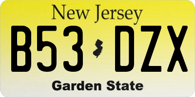 NJ license plate B53DZX