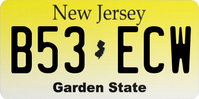 NJ license plate B53ECW