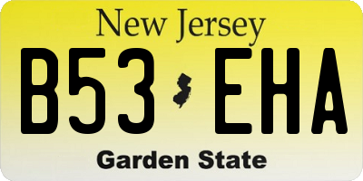 NJ license plate B53EHA