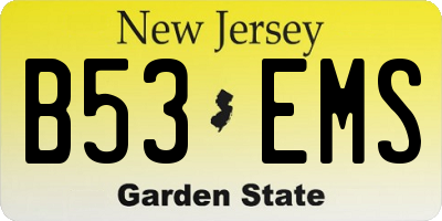 NJ license plate B53EMS