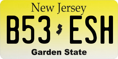 NJ license plate B53ESH