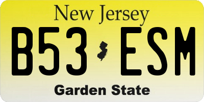 NJ license plate B53ESM