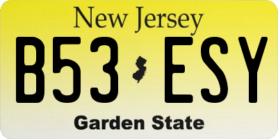 NJ license plate B53ESY