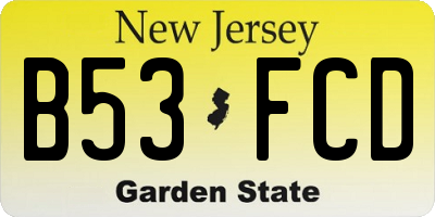 NJ license plate B53FCD
