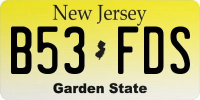 NJ license plate B53FDS