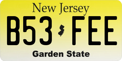 NJ license plate B53FEE
