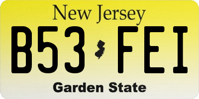 NJ license plate B53FEI