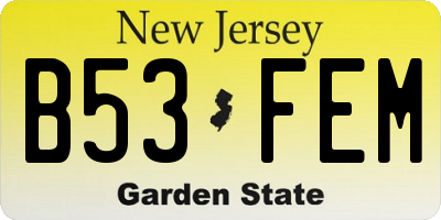 NJ license plate B53FEM