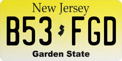 NJ license plate B53FGD