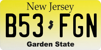 NJ license plate B53FGN