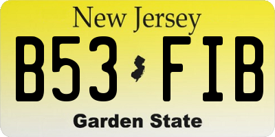 NJ license plate B53FIB