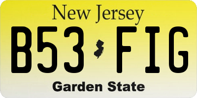 NJ license plate B53FIG