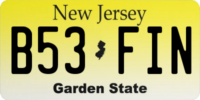 NJ license plate B53FIN