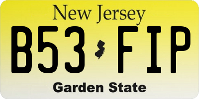 NJ license plate B53FIP