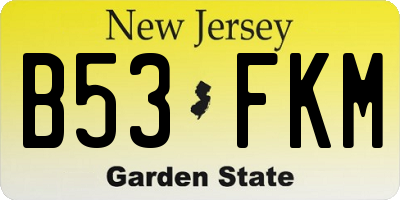 NJ license plate B53FKM