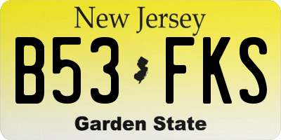 NJ license plate B53FKS
