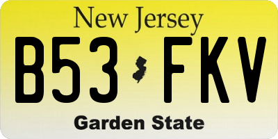 NJ license plate B53FKV