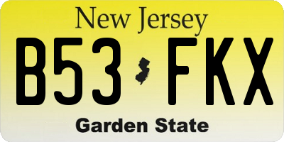 NJ license plate B53FKX