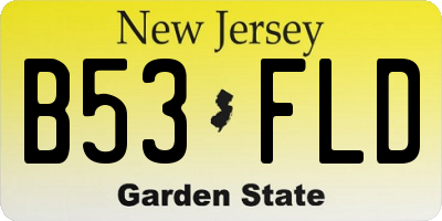 NJ license plate B53FLD