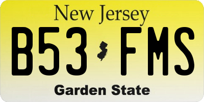 NJ license plate B53FMS