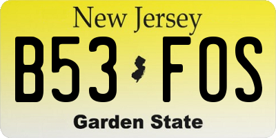 NJ license plate B53FOS