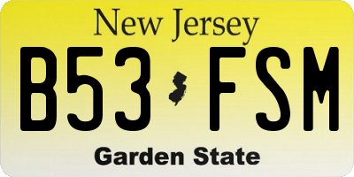 NJ license plate B53FSM