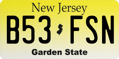 NJ license plate B53FSN