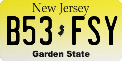 NJ license plate B53FSY