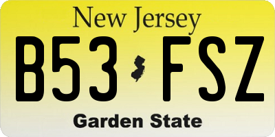 NJ license plate B53FSZ