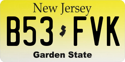 NJ license plate B53FVK