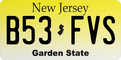 NJ license plate B53FVS