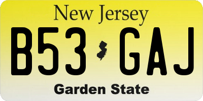 NJ license plate B53GAJ