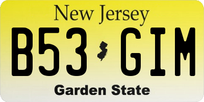 NJ license plate B53GIM