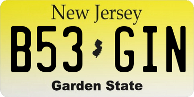 NJ license plate B53GIN