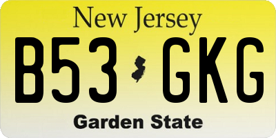 NJ license plate B53GKG