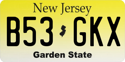 NJ license plate B53GKX