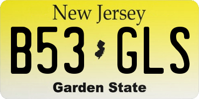 NJ license plate B53GLS