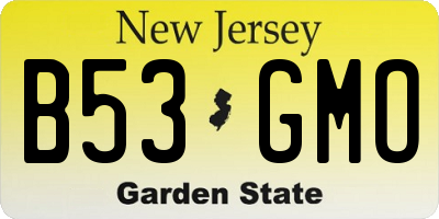 NJ license plate B53GMO