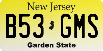 NJ license plate B53GMS